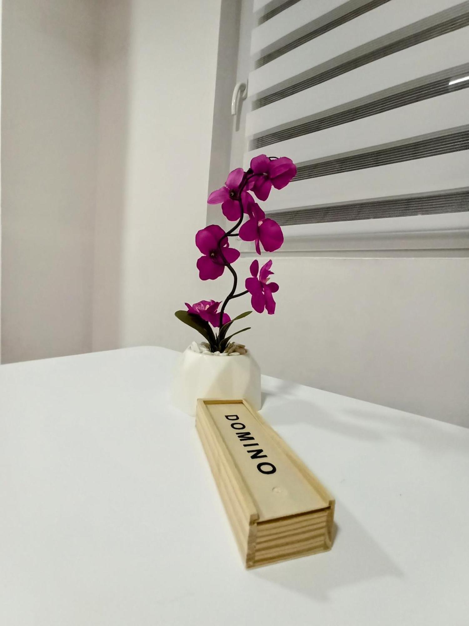 Bayt Apartment - Free Parking Σαράγεβο Εξωτερικό φωτογραφία